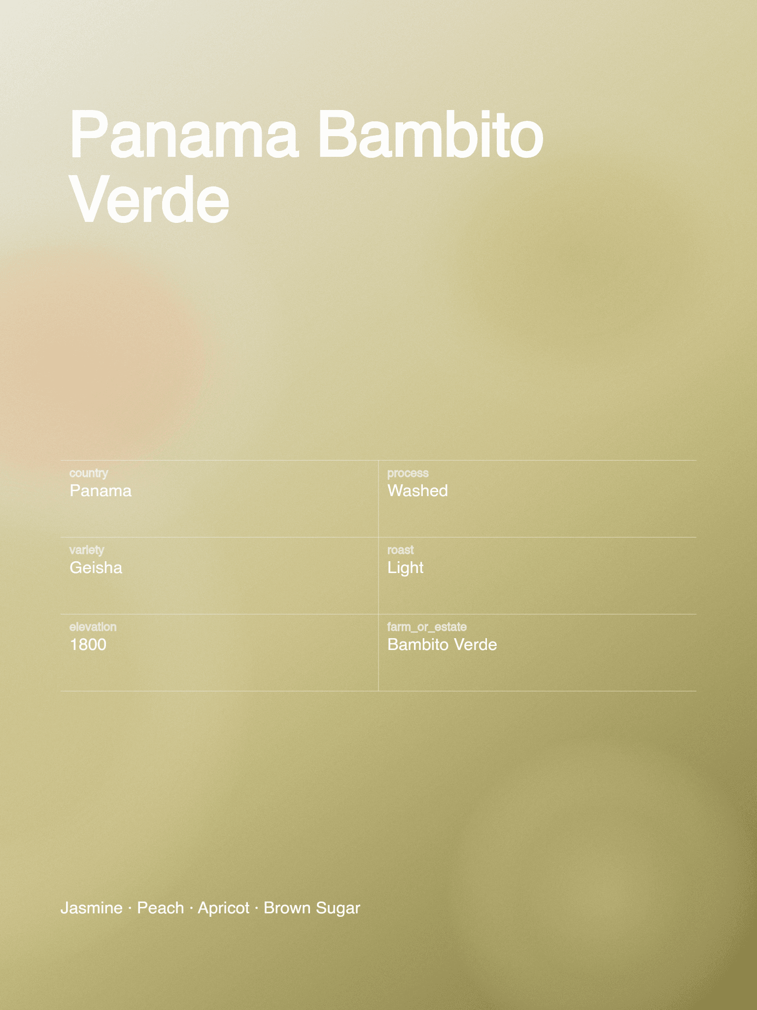Panama Bambito Verde coffee information design in Flavor Gradient style, with its origin and tasting notes