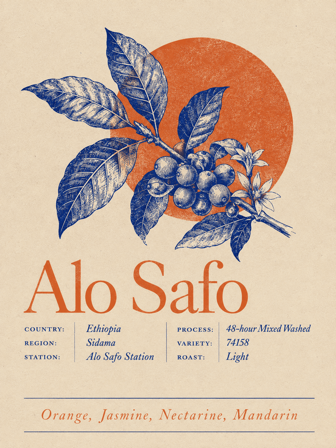 Alo Safo coffee information design in Mono Color style, with its origin and tasting notes